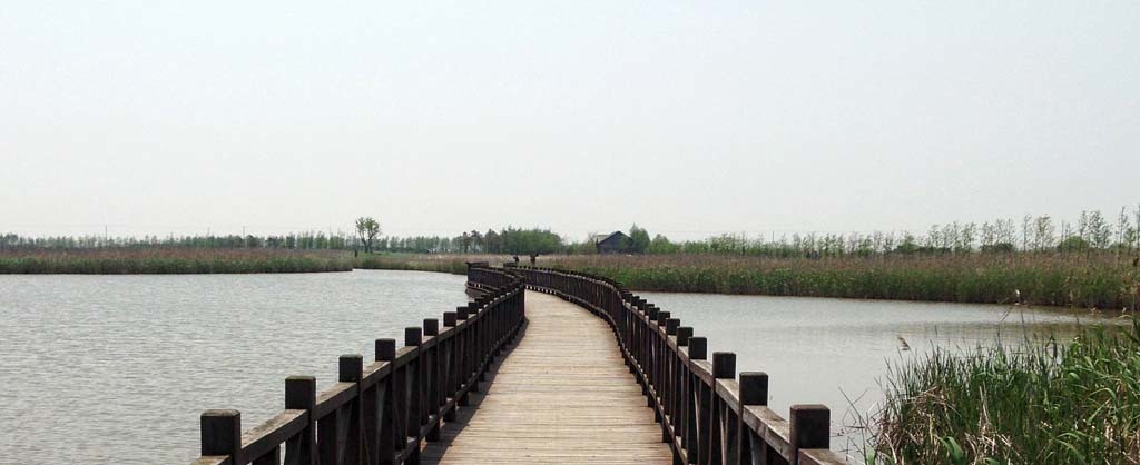 Chongming Island