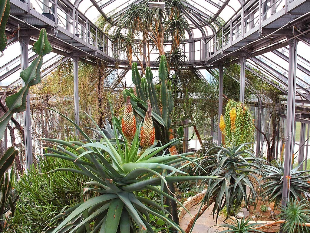 Botanischer Garten Berlin