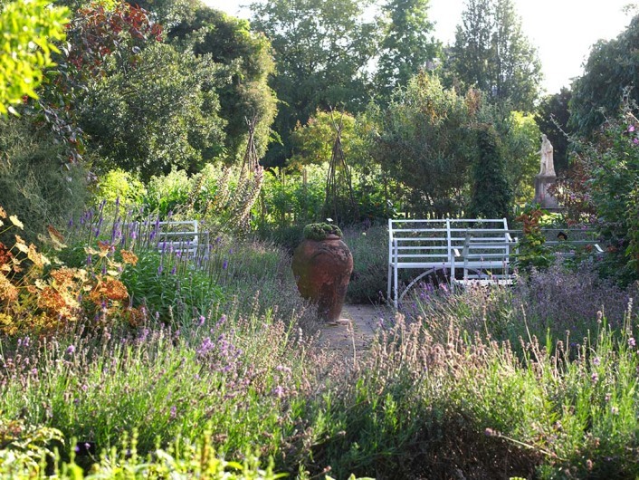 Garden 30 July 2011