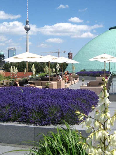 Hotel De Rome Berlin Adresse Hotel De Rome Berlin Adresse