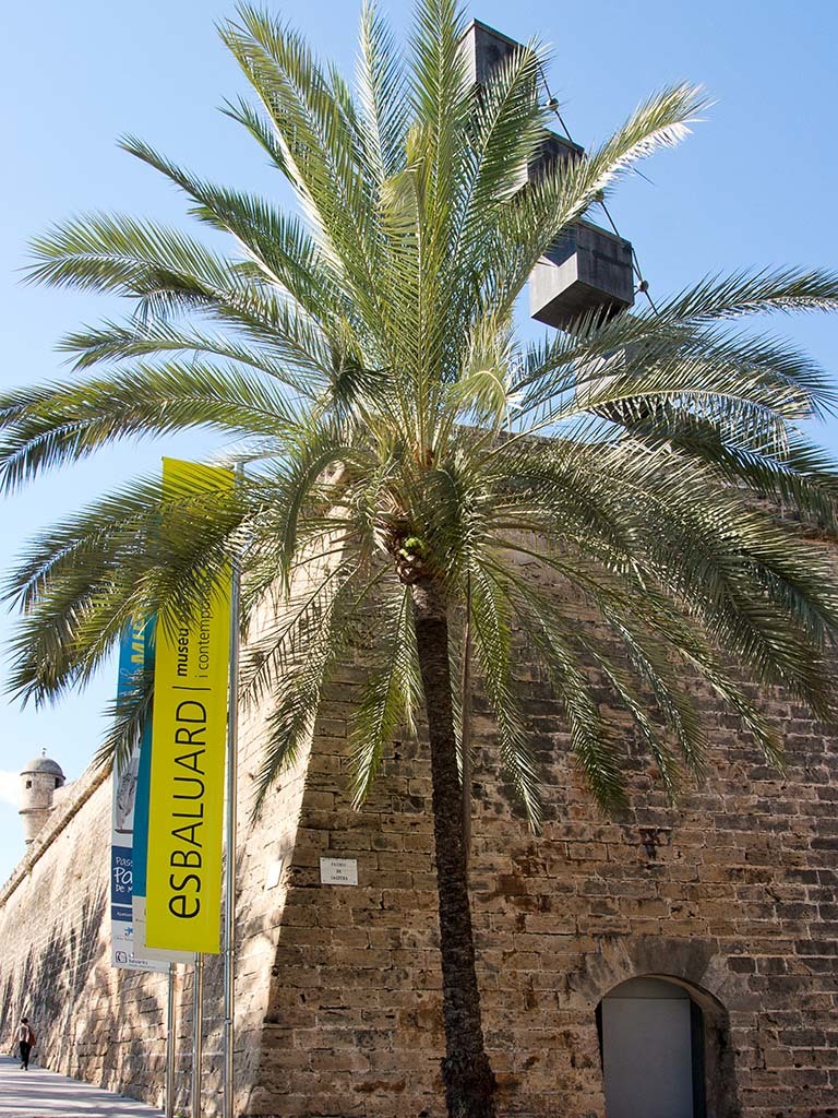 Es Baluard, gallery, Palma, Mallorca, Spain