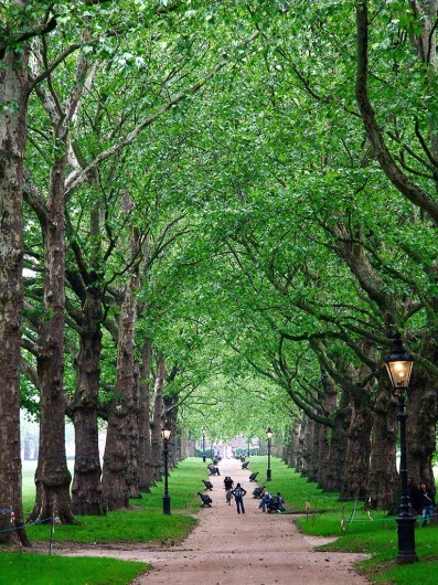 Green Park