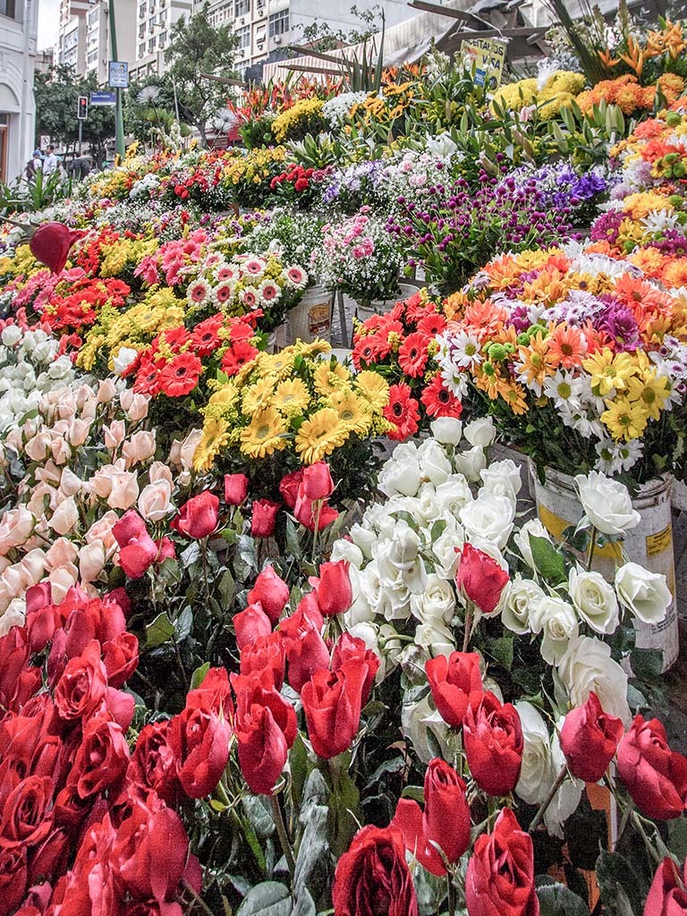 Ipanema Farmer’s Market  