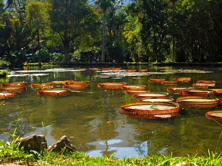 Jardim BotÃ¢nico, Rio de Janeiro, Brazil