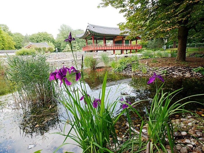 Koreanischer Garten