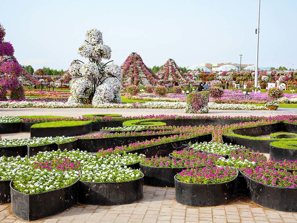 Dubai Miracle Garden