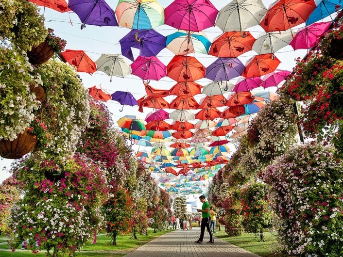 Dubai Miracle Garden