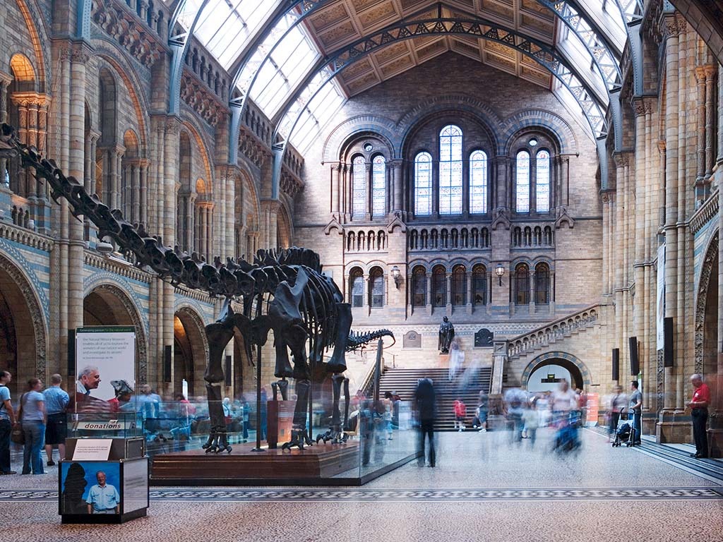 Natural History Museum