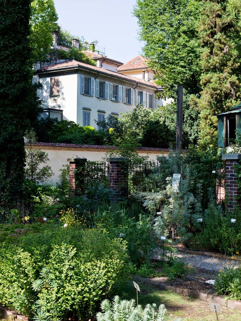 Green oasis in the center of the city and backyard of the academy of arts