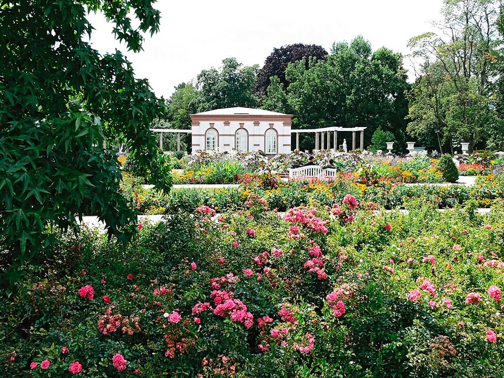 http://palmengarten.frankfurt.de