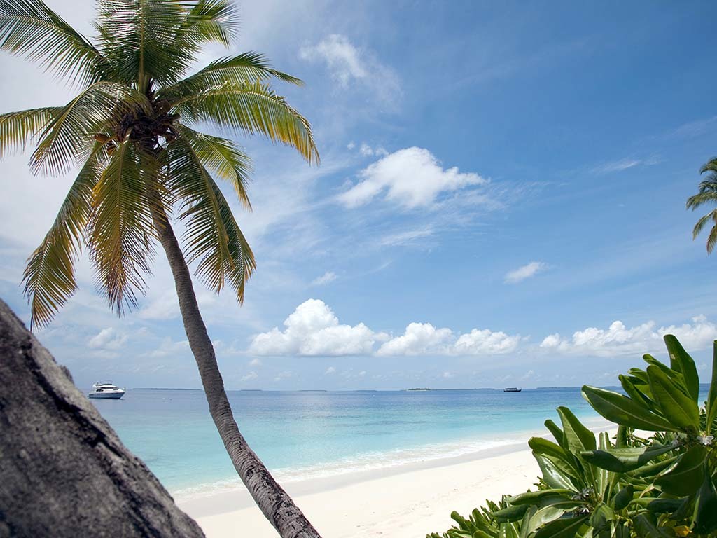 Alila Hadahaa, Maldives, Beaches