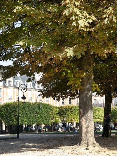 Place des Vosges (par)