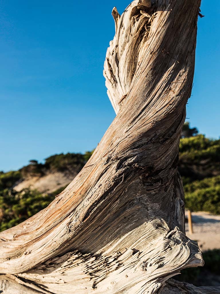 Platja de ses Salines