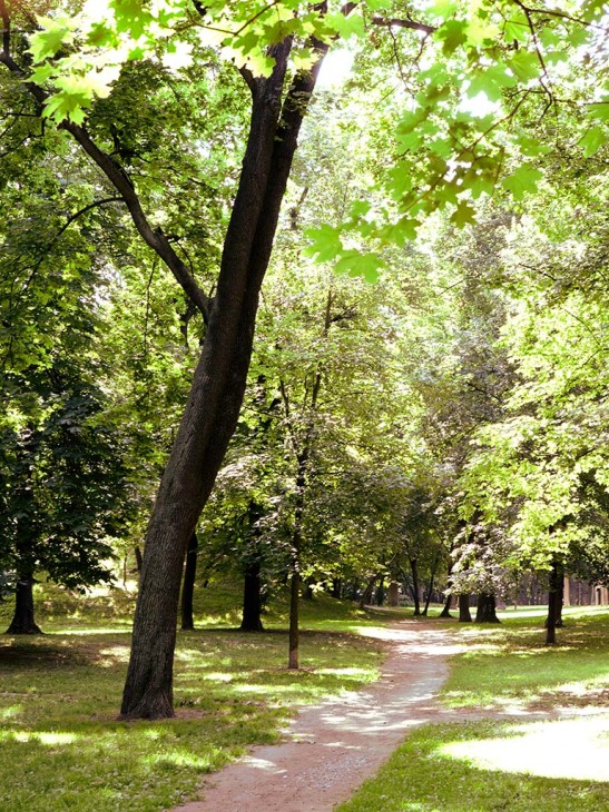 prater