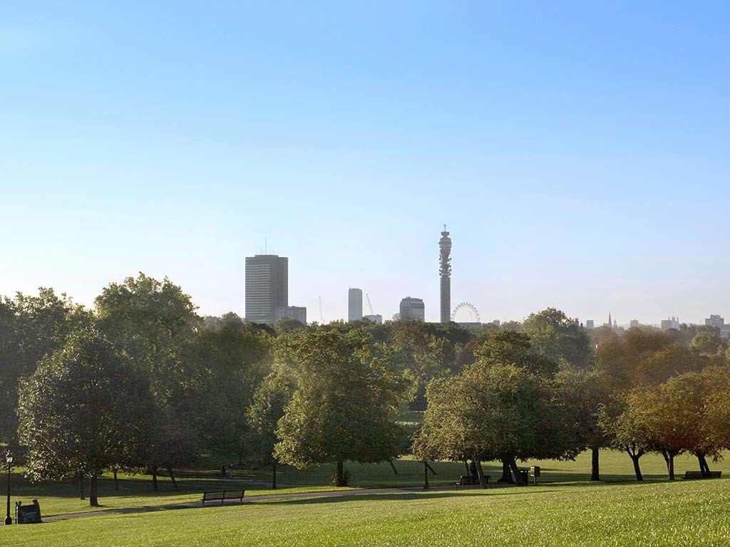 Primrose Hill