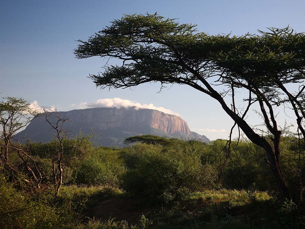 Saruni Samburu