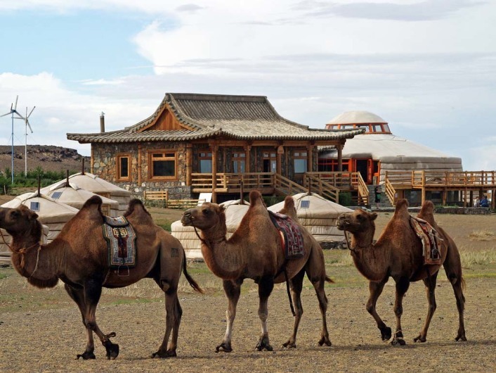 Three Camel Lodge