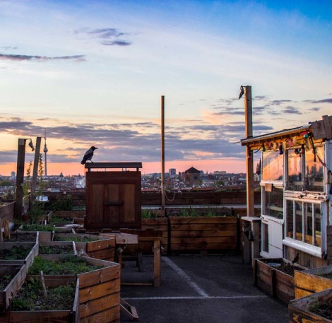Hallo, Frühling! Die besten Outdoor-Spots in Berlin