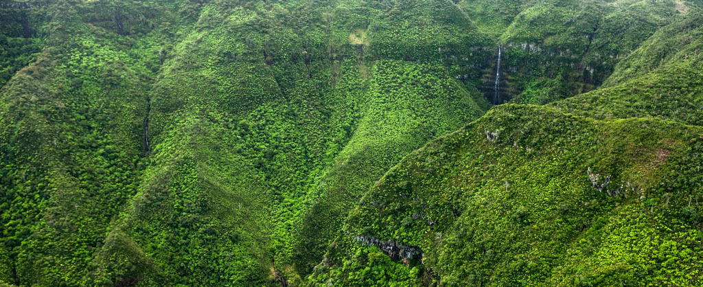 Black River Gorges National Park, Mauritius