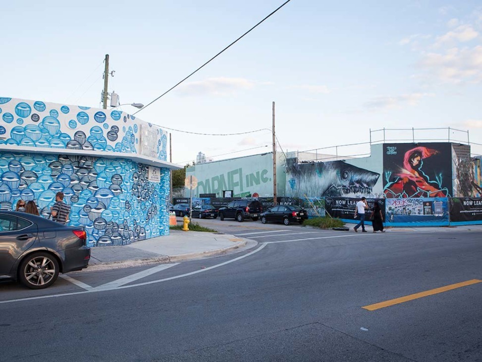 Wynwood Arts District