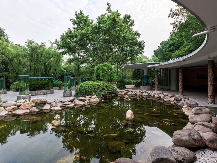 Shanghai Zoo 上海动物园